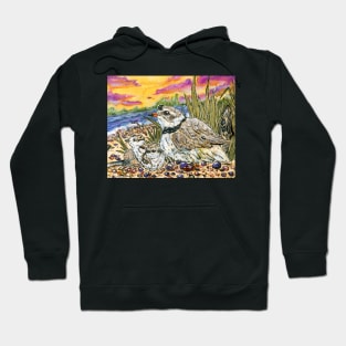 Piping Plovers and Chicks Hoodie